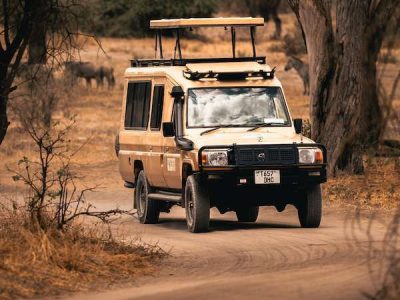 01-Tarangire_022.jpg