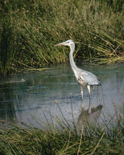 01-Tarangire_032.jpg