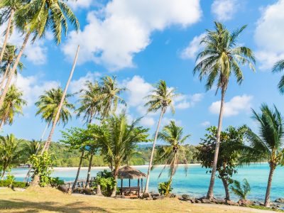 Beautiful island paradise with coconut palm tree around sea and beach on white cloud and blue sky - Holiday vacation concept