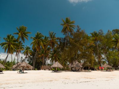 Beautiful tropical beach with palm trees and straw umbrellas in zanzibar, tanzania